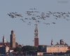 Fenicottero_volo_Venezia_Barene_Campalto_17_8_2014_++++^2402sf